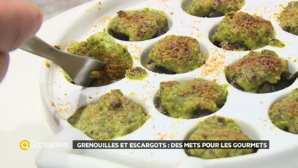 Grenouilles et escargots : des mets pour les gourmets