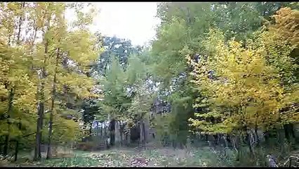 Mały spacerek z niespodzianką...