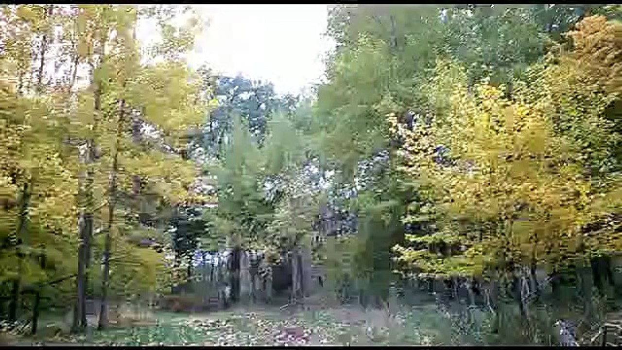 Mały spacerek z niespodzianką...