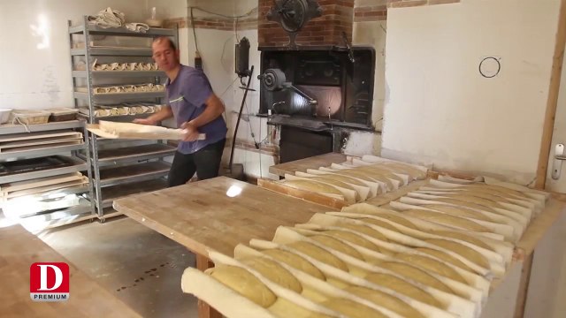 Du grain au pain à la ferme Campagnolle (paysans boulagers à Laloubère dans le 65)