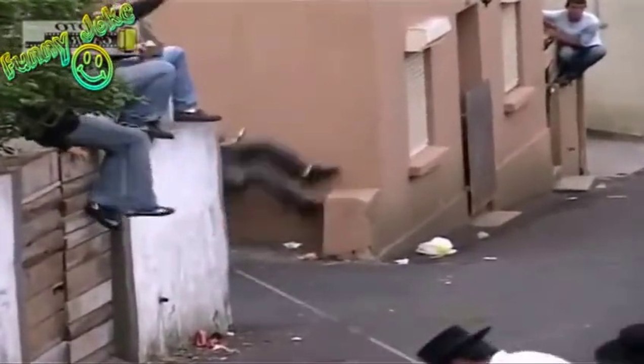 Funny Animal Videos about the Gaur crazy Best Funny Videos