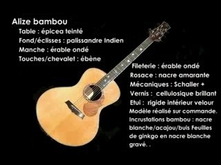 Thomas Fejoz Luthier guitares 2em partie