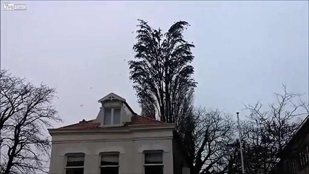 3 Knockouts In 15 Seconds! - Komik videolar - Funny videos