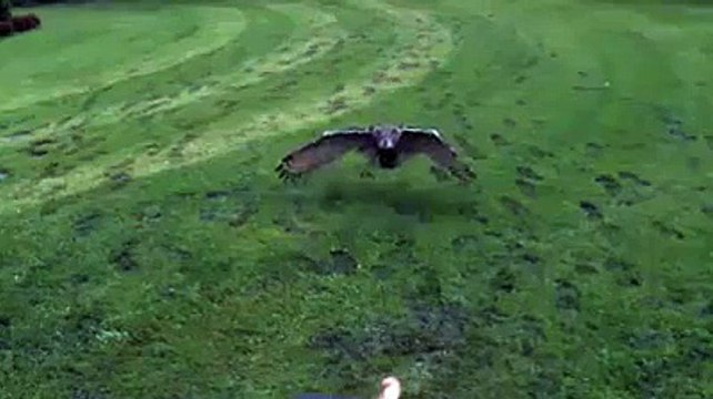 Attaki Asalete Bak!! - Komik videolar - Funny videos