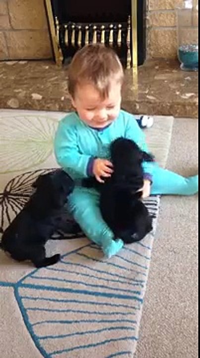 Une adorable vidéo : bébé vs chiots, la guerre des bisous