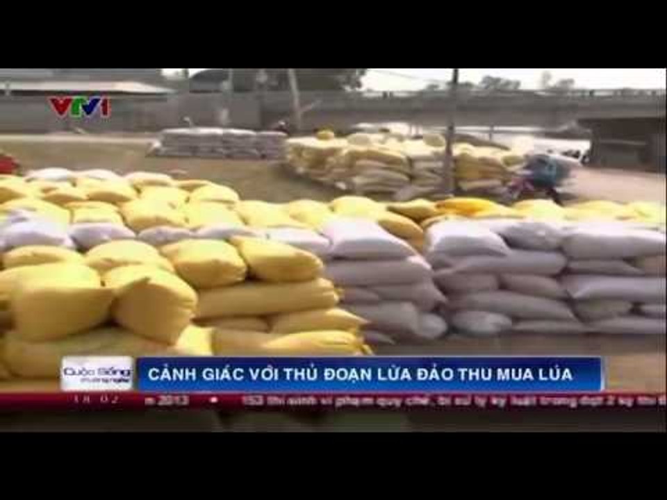 Cảnh giác với thủ đoạn lừa đảo thu mua lúa