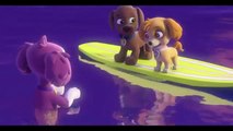 kirancollections Most hit cartoon 2015 paw patrol pups save a mer pup clip