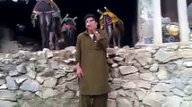 Pashto funny video, funny pathan, donkey prank, urdu funny, pakistani funny videos, punjabi funny videos, funny fails, amazing people