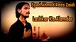 Syed Ahmed Raza Zaidi - Lashkar Ka Alamdar, Syed Ahmed Raza Zaidi
