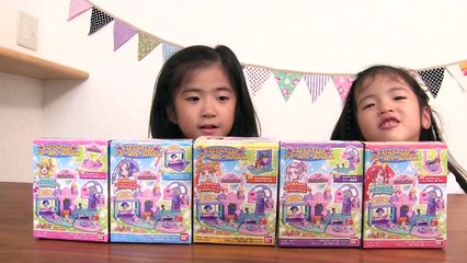 BANDAIドキドキプリキュアドリームパークハウス purikyua house