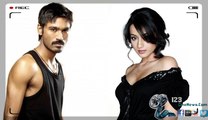Dhanush to pair up with Trisha for the first time| 123 Cine news | Tamil Cinema news Online