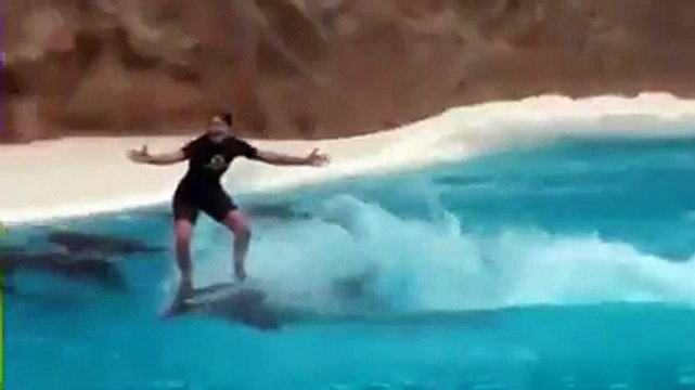 اگر یہ نہیں دیکھا تو کچھ نہیں دیکھا