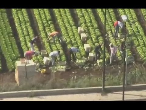 Siracusa - Lavoro nero, blitz dei finanzieri contro il caporalato (30.10.15)