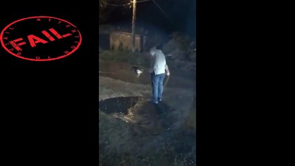 Dog attacks a crocodile, Perro ataca a un cocodrilo