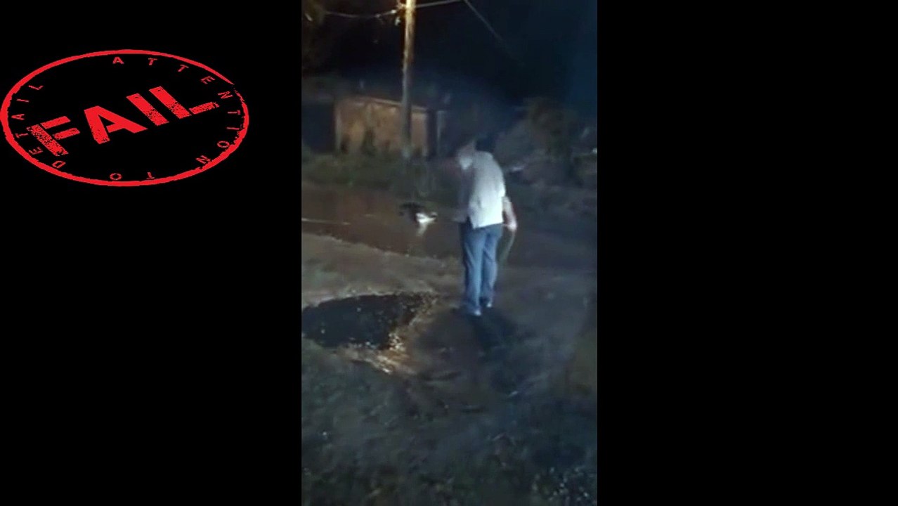 Dog attacks a crocodile, Perro ataca a un cocodrilo