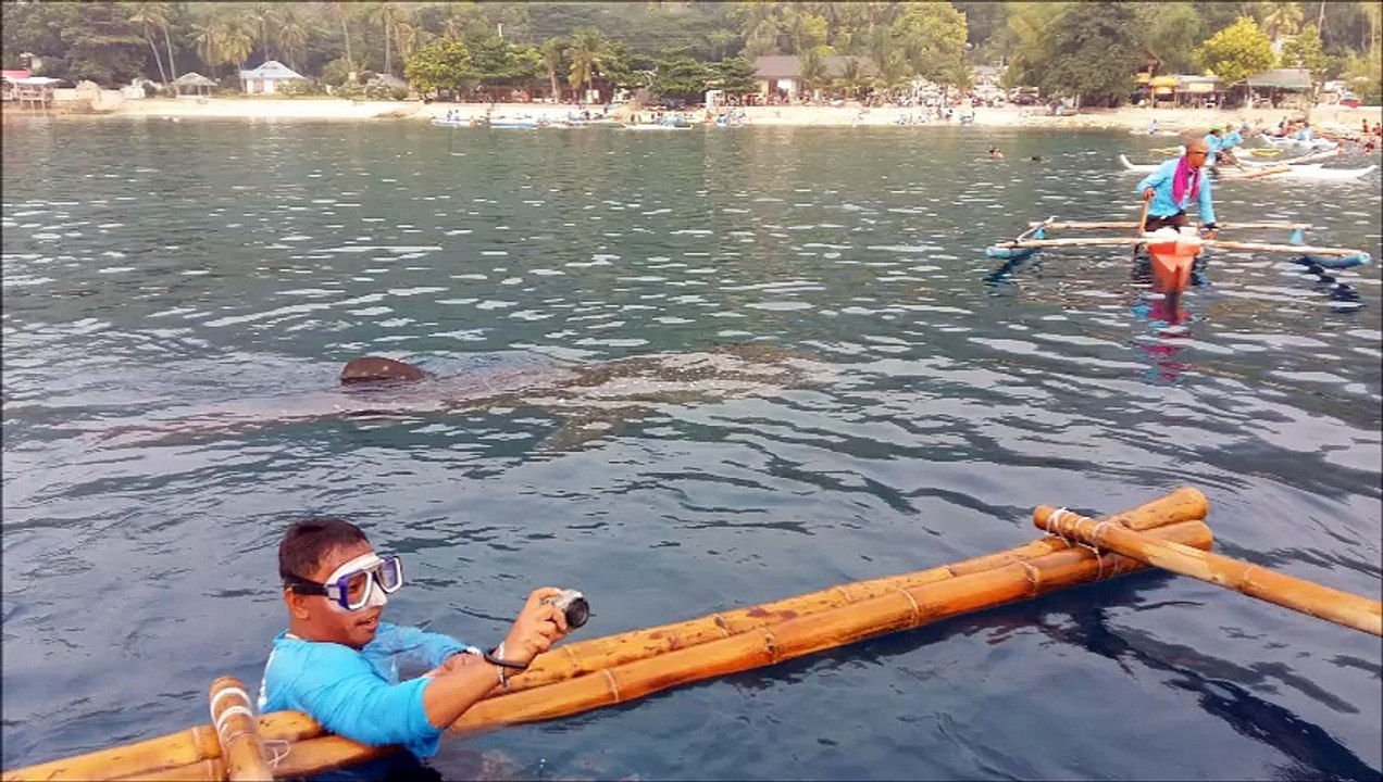Oslob Adventure