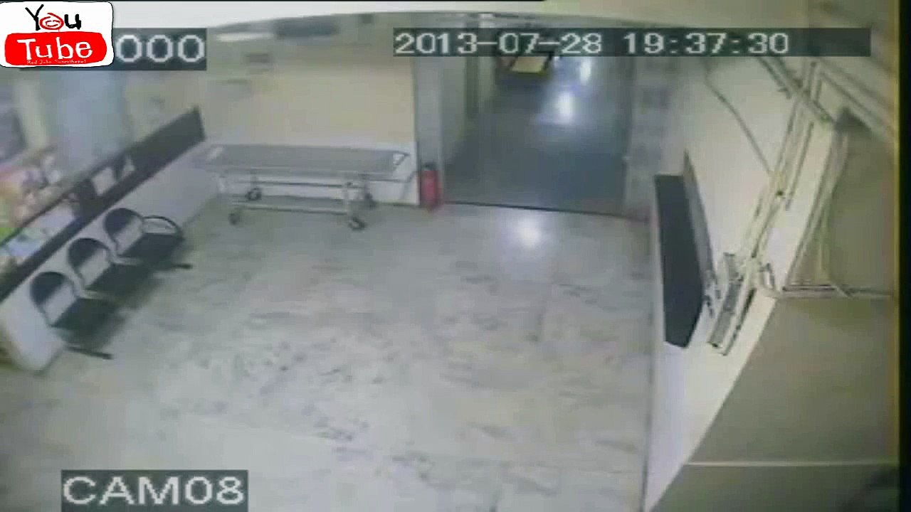 Leopard is surprising catch a dog, Leopardo trata de sorprender cazar a un Perro