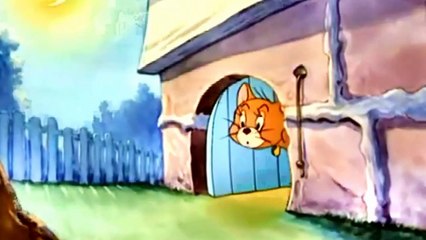 Tom And Jerry 1991 1995 Full Episodes 3 I Tom And Jerry Cartoon Special ★★★★★ ᴴᴰ