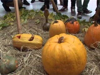 Lajme - Festa e Kungullit (Halloween) në Zekeria Rexha