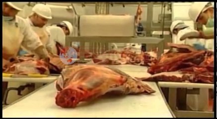 Mishi i përpunuar, mjekët: Shmangni kancerin duke e kombinuar me perime- Ora News