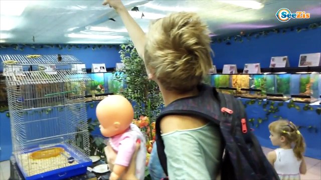 ✔ Кукла Ненуко и Юля на выставке бабочек. Nenuco and Julia are in the exhibition of butterflies