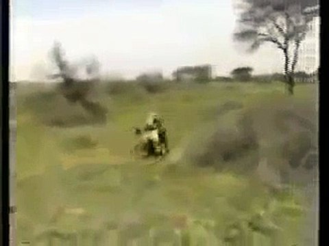 Lion Attack Hunting Safari Africa