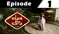 Naa Dil Deti Episode 1 Full on Hum Sitaray