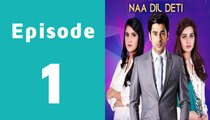Naa Dil Deti Episode 1 Full on Hum Sitaray