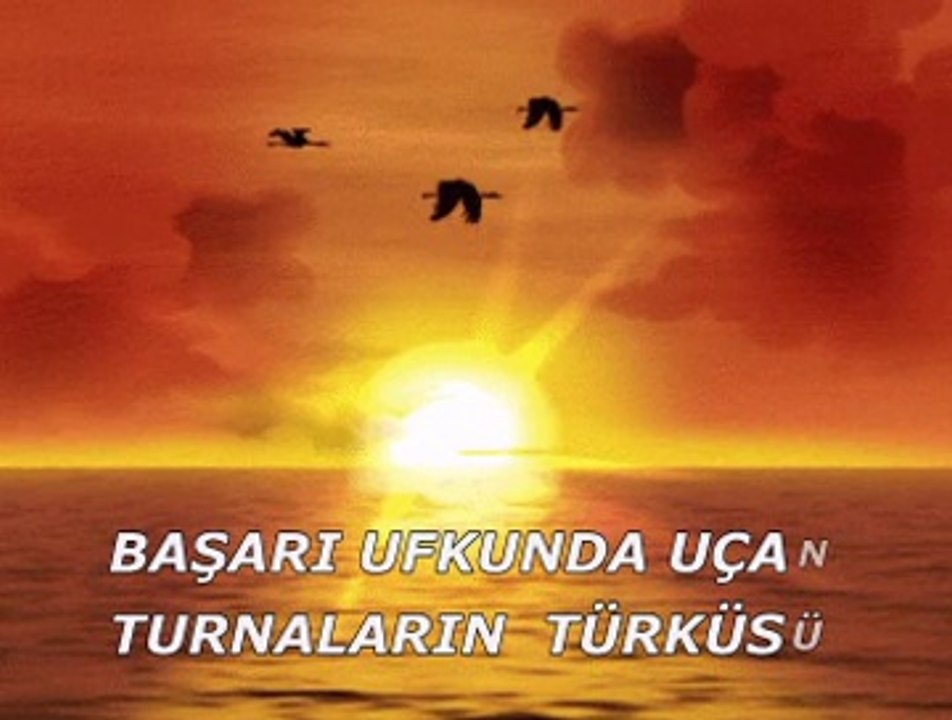 Başarı ufkunda uçan turnalar