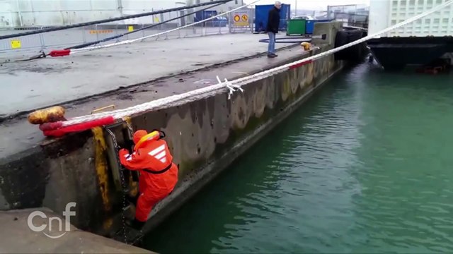 Удивительное спасение кота