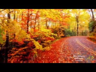 Emisiunea Radio-Tv Arthis din 30 octombrie 2015/P2/ro.