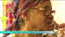 les Anses d'Arlet: Martinique....météo à la carte