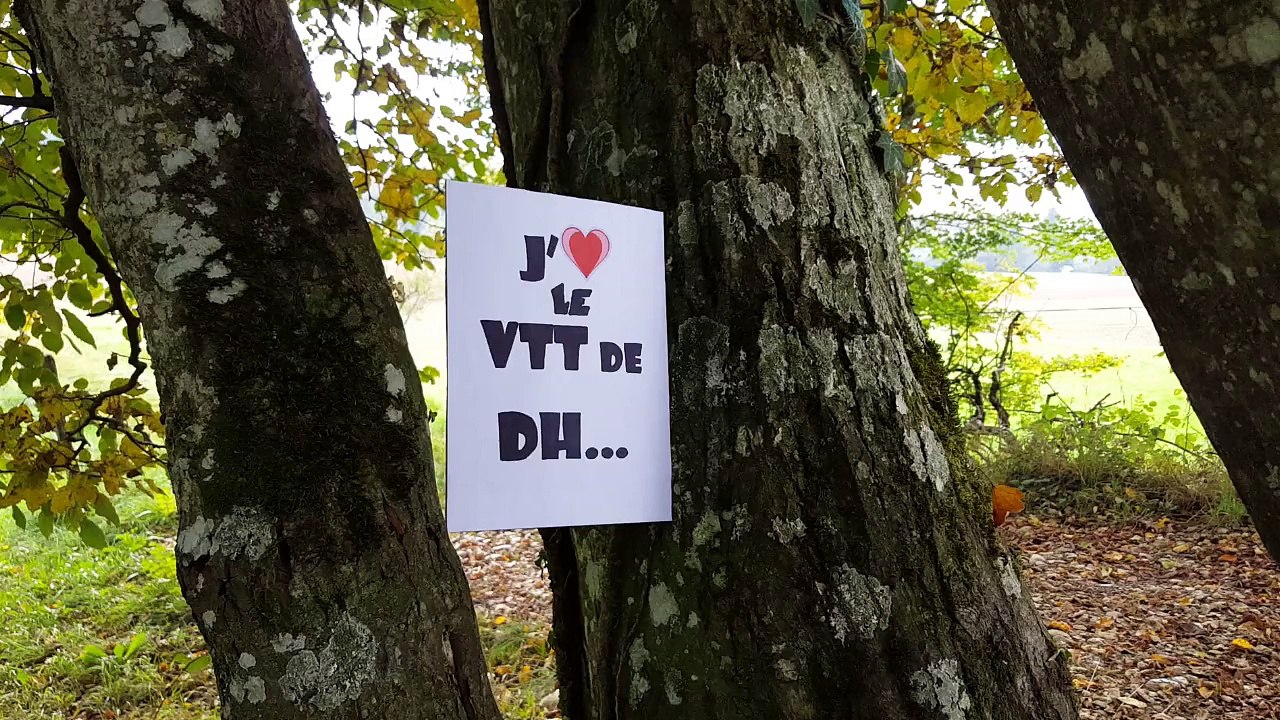 Bello birthday - Dédicaces