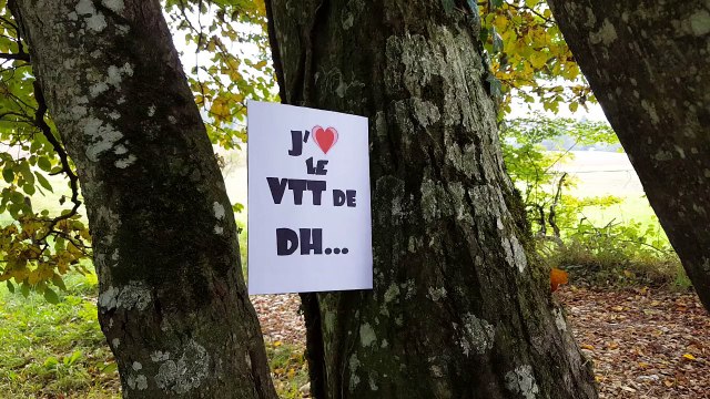 Bello birthday - Dédicaces