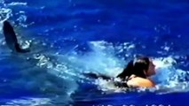 Deep Ocean ~ Great White Shark Hunter of the Deep Full Documentary