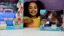 Doc Mcstuffins Pet Vet | Veterinarian Bag | Find and Fetch Findo | Kids Toy Review