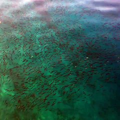 Phoenix Beach Marmaris