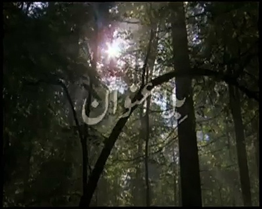 بابا بلھے شاہ ، خوبصورت کلام
