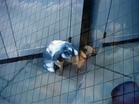 Rabbit humps little dog lol animals video when animals attack