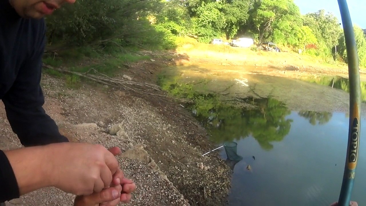 Session pêche au coup (tanche et gardons)