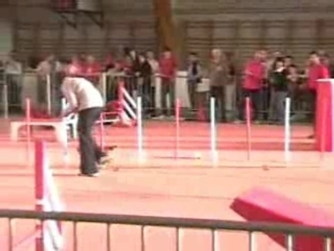 Jumping weeny Moulins 2007