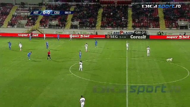 A dog invaded the pitch during Astra vs CSU Craiova (Liga 1 Romania) 2015