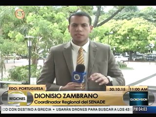 Inutilizan 664 armas de fuego en Portuguesa