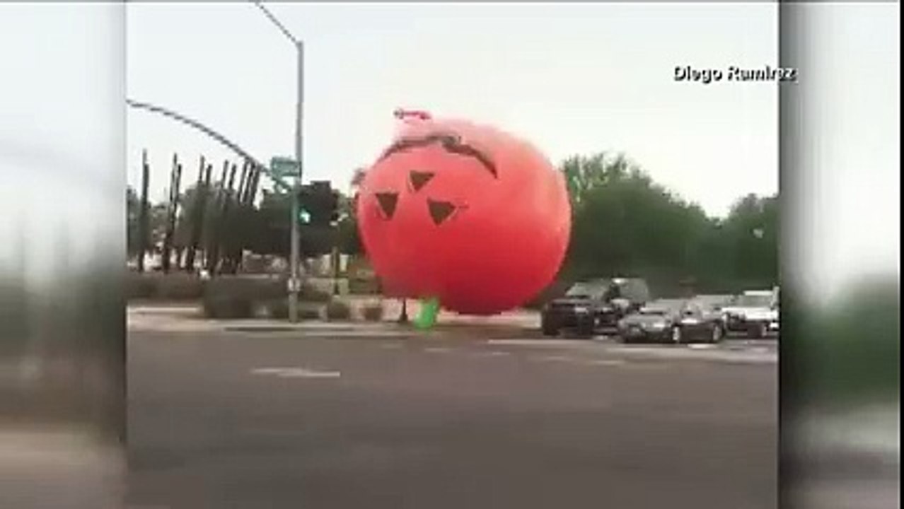 runaway pumpkin hahaha