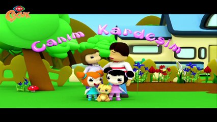 CANIM KARDEŞİM 8.BÖLÜM / BİR YILDIZIM OLSA