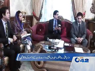 CM Punjab meets Chinese delegation