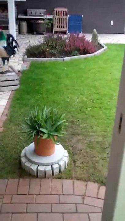 Un frigo à bière top secret caché dans le jardin