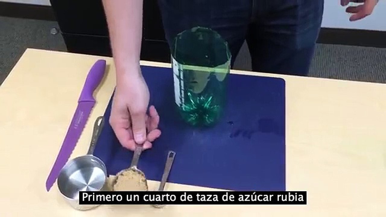 Mira cómo puedes hacer una trampa para mosquitos