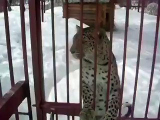 Камеру убрал, наглый папарацци