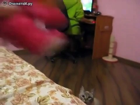 Котя, принеси зайчика смотреть видео прикол онлайн «Котя, пр-1
